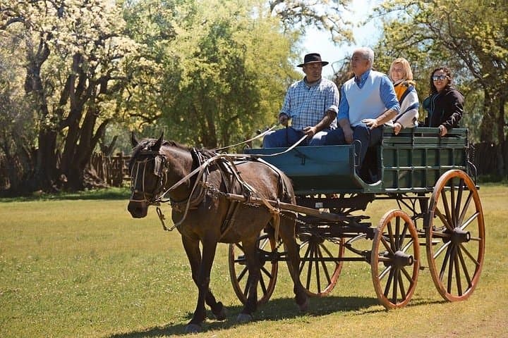 Day at an Argentinian Estancia: Gaucho Culture, Horseback Riding & Asado in the Pampas