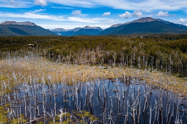 Fuegian Lakes and Garibaldi Pass Day Tour from Ushuaia