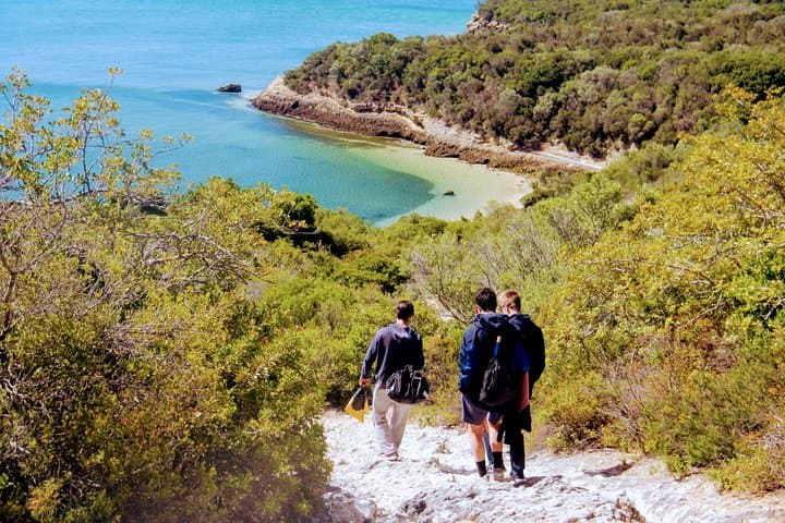Arrábida Snorkeling & Wine Day Trip from Lisbon — Snorkel Crystal Bays and Taste Setúbal Wines photo 2