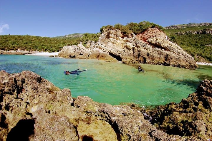 Arrábida Snorkeling & Wine Day Trip from Lisbon — Snorkel Crystal Bays and Taste Setúbal Wines photo 5