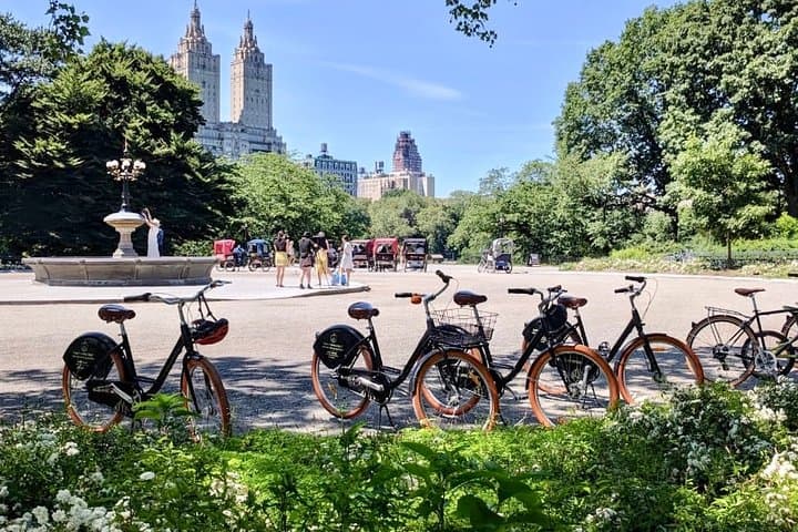 Explore Central Park by Bike: Rentals, Routes & Tips photo 5