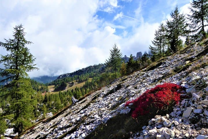 Dolomites Trekking Experience: Cortina Day Hike to Alpine Lakes photo 4