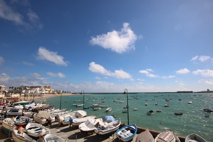 Cadiz Coastal Walk: Scenic Shore Excursion with Sherry & Cheese Tasting