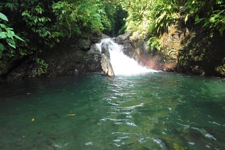 Rainmaker Waterfalls & Hanging Bridges Day Trip from Manuel Antonio photo 3