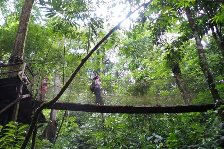 Rainmaker Waterfalls & Hanging Bridges Day Trip from Manuel Antonio photo 5