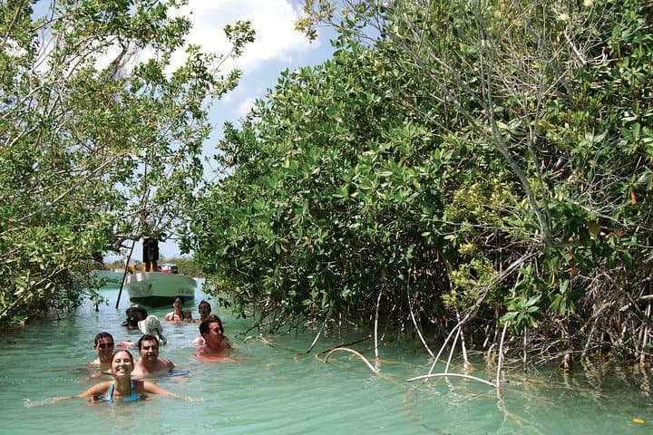 Sian Kaan Biosphere Reserve Boat Tour — Mangroves, Reef & Wildlife from Tulum photo 5