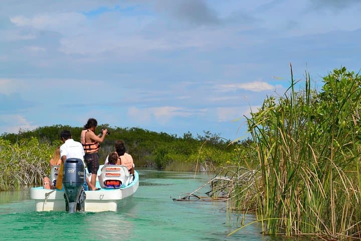 Sian Kaan Biosphere Reserve Boat Tour — Mangroves, Reef & Wildlife from Tulum photo 6
