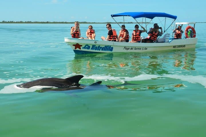Sian Kaan Biosphere Reserve Boat Tour — Mangroves, Reef & Wildlife from Tulum photo 3