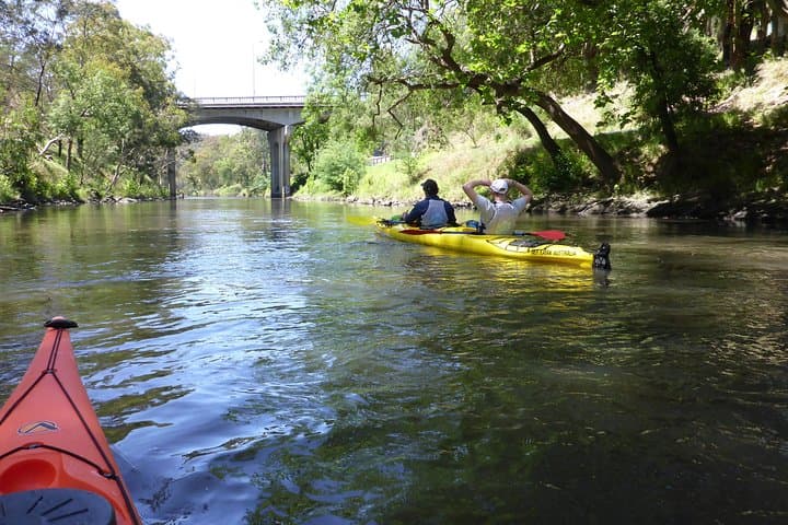 Self-Guided Yarra River Kayak Hire — Scenic Melbourne Day Paddle photo 3