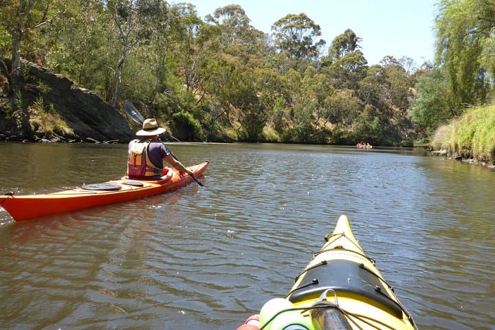 Self-Guided Yarra River Kayak Hire — Scenic Melbourne Day Paddle photo 4