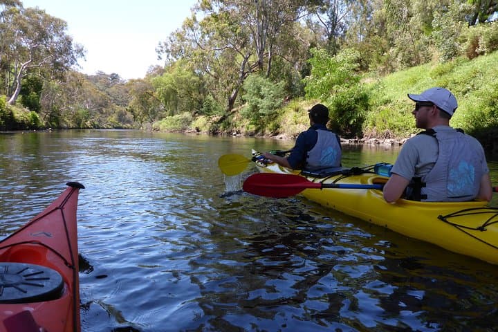 Self-Guided Yarra River Kayak Hire — Scenic Melbourne Day Paddle photo 6