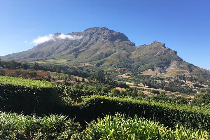 Full-Day Cape Winelands Wine Tour: Stellenbosch, Franschhoek & Paarl photo 5