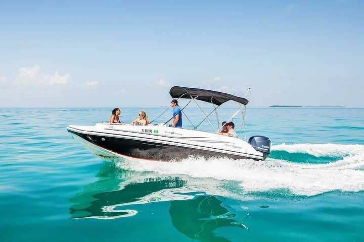 Private Miami Boat Tour: Snorkel Biscayne Bay and Cruise Millionaire’s Row