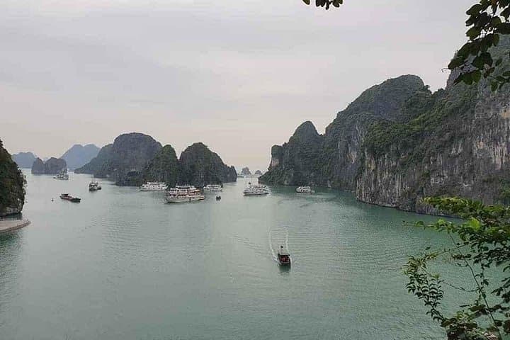 Full-Day Ha Long & Lan Ha Bay Cruise: Sung Sot Cave, Kayaking & Titop Island photo 4