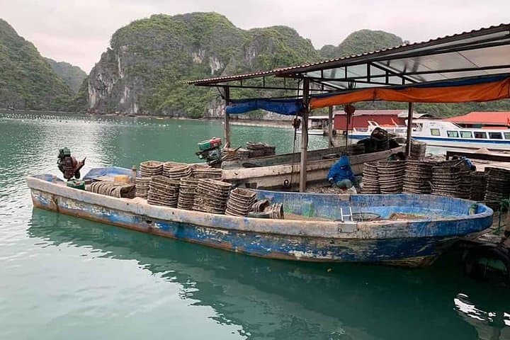 Lan Ha and Ha Long Bay Full-Day Cruise & Kayak from Hanoi photo 2