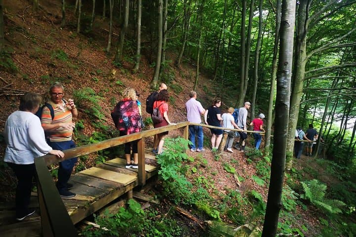 Carpathian Brown Bear Safari: No-Fence Forest Hide near Brașov photo 2
