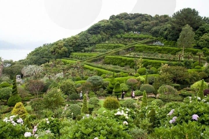 Busan to Tongyeong & Geoje: Private Full-Day Coastal Tour with Oedo-Botania photo 6
