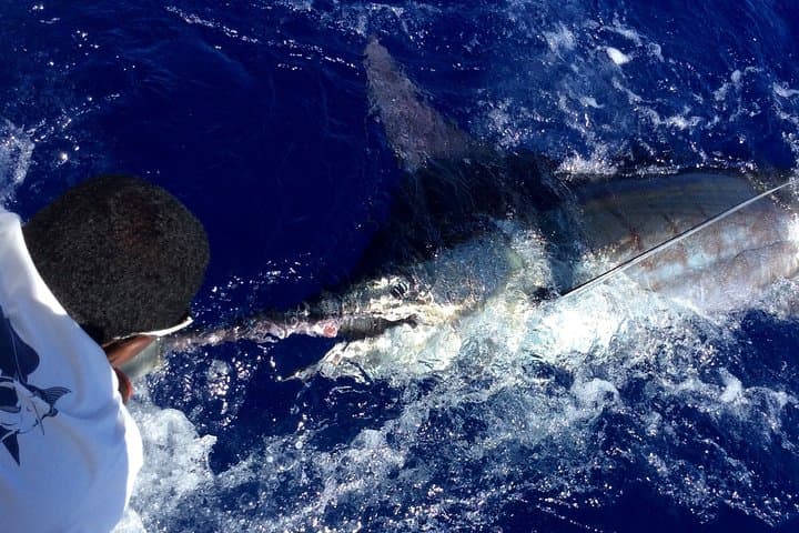 Big Game Fishing in Mauritius — Black River Offshore Angling photo 3