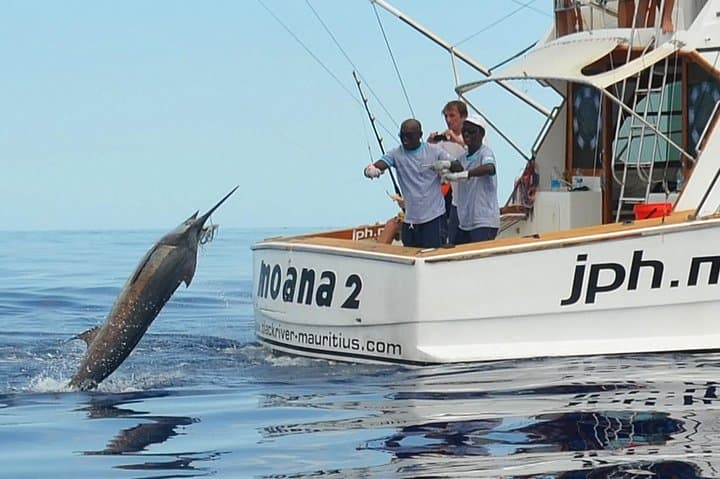 Big Game Fishing in Mauritius — Black River Offshore Angling photo 4