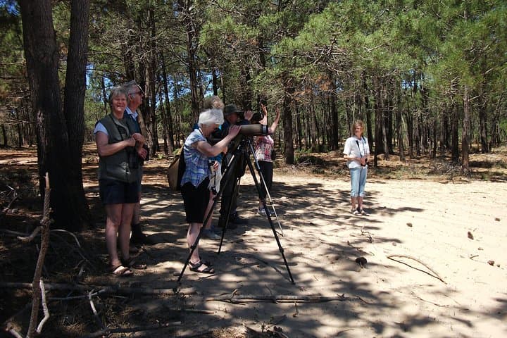 Sagres birdwatching day — coastal migration watch on the Algarve peninsula