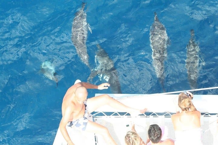 West Coast Mauritius Catamaran Cruise to Benitier Island & Snorkel photo 3