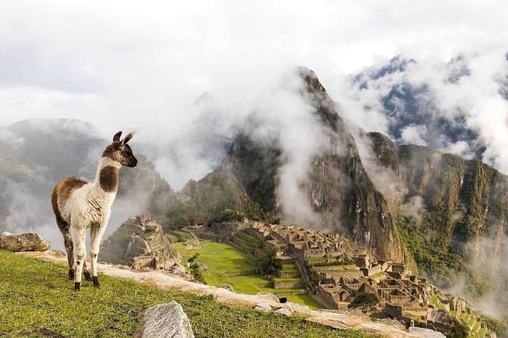 15-day-enigmas-of-southern-peru-lima-to-machu-picchu photo 2