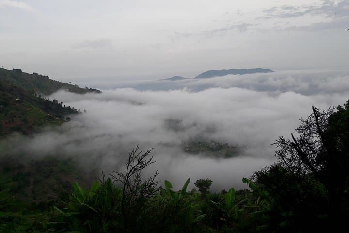 Bondwa Peak Day Hike: Rainforest Trek Near Morogoro, Tanzania
