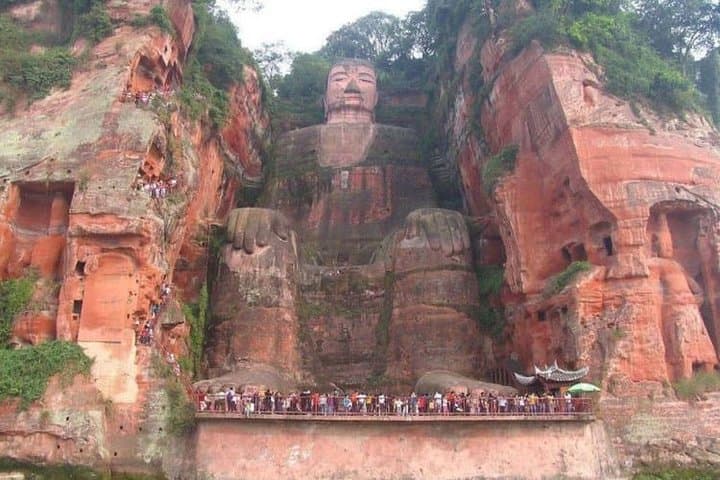 Chongqing to Chengdu Panda Base and Leshan Giant Buddha Private Day Tour photo 4