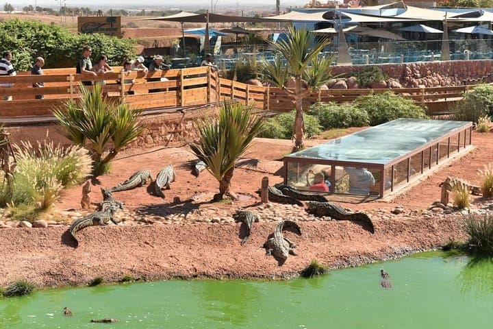 Agadir Quad Bike Safari, Argan Tree Goats & Crocoparc Ticket photo 6