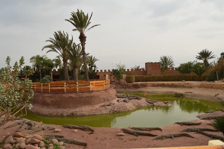 Agadir Quad Bike Safari, Argan Tree Goats & Crocoparc Ticket photo 5