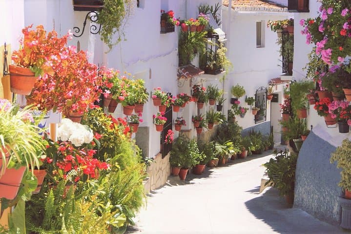 Hike El Saltillo Gorge & White Village Day Trip from Málaga photo 2
