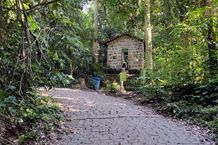 Hike Corcovado: Parque Lage to Christ the Redeemer Trail photo 3