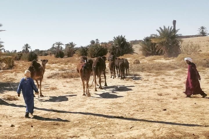11-Day Morocco Sahara Circuit: Ouzoud Falls, Marrakech, Atlas, Merzouga, Fez & Chefchaouen
