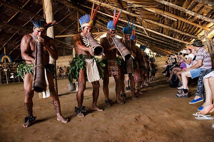 Amazon Rio Negro: Swim with Porpoises & Visit an Indigenous Village from Manaus photo 3