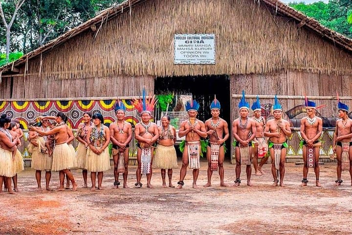 Amazon Rio Negro: Swim with Porpoises & Visit an Indigenous Village from Manaus