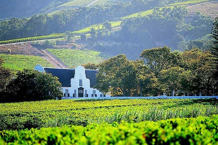 Best of Cape Town Wines: Private Cape Winelands Tour from Cape Town photo 5