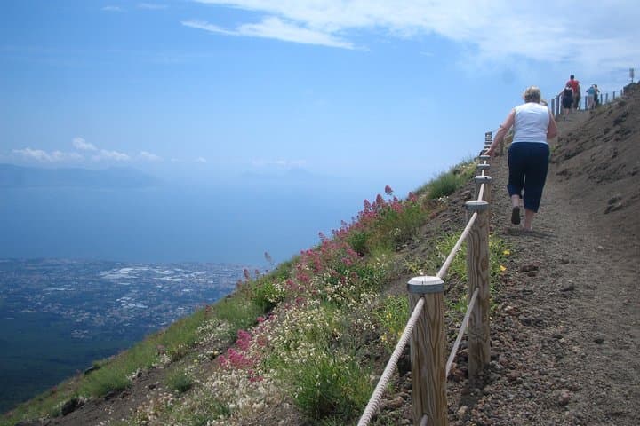 Vesuvius Wine Tour: Vineyard Walk & Lachrima Christi Tasting from Naples photo 2