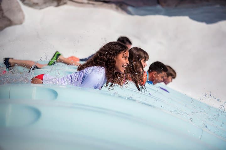 Experience the Thrill and Chill of Walt Disney World’s Water Parks: Typhoon Lagoon & Blizzard Beach photo 6