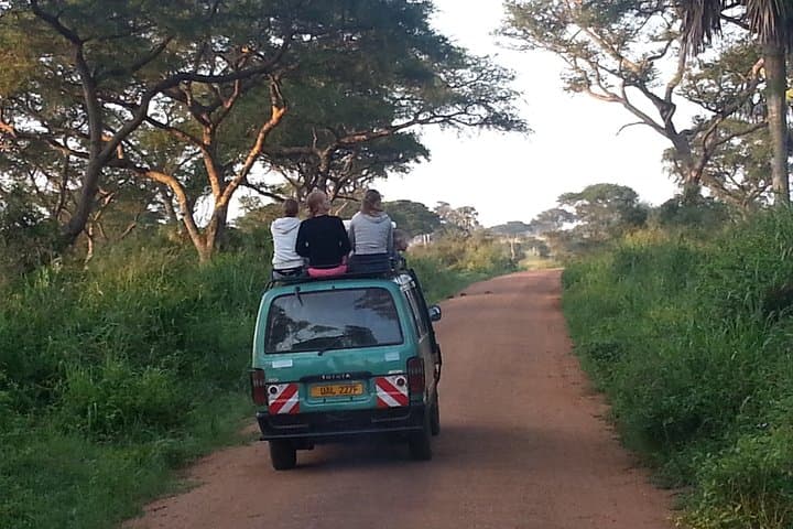 Murchison Falls Day Safari: Game Drive and Falls Experience from Masindi