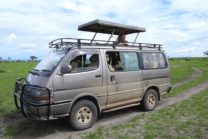 Murchison Falls Guided Safari from Masindi: 2-Day Waterfall Cruise & Wildlife photo 3
