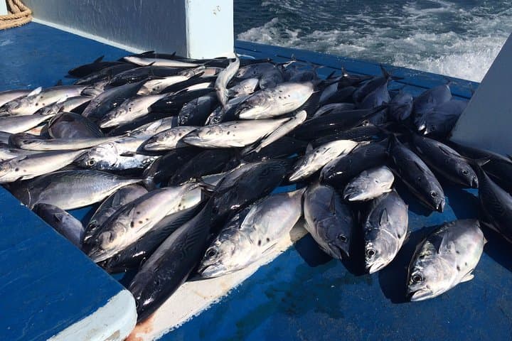 Phuket Full-Day Game Fishing & Trolling Adventure: A Deep-Sea Quest for Trophy Fish photo 3