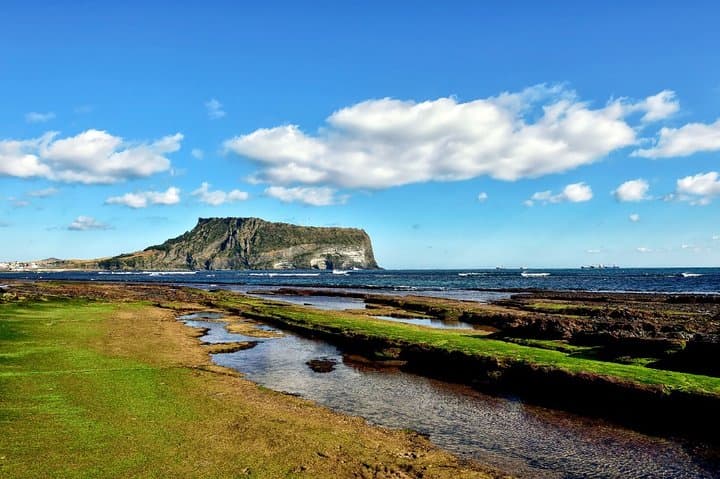 Customizable Full-Day Jeju Private Tour: East, West, South & Mt. Halla Options