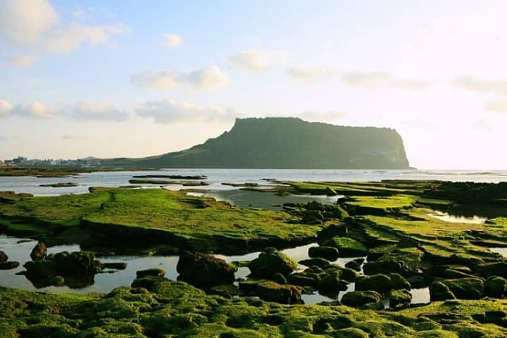 Customizable Full-Day Jeju Private Tour: East, West, South & Mt. Halla Options photo 3