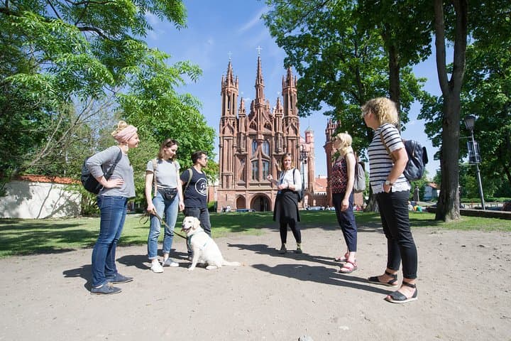 Vibrant Vilnius: 4-Day Weekend Break with Food Market & Trakai photo 4