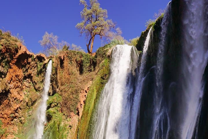 Marrakech to Ouzoud Falls Day Trip — Waterfalls, Barbary Apes & Berber Lunch photo 4