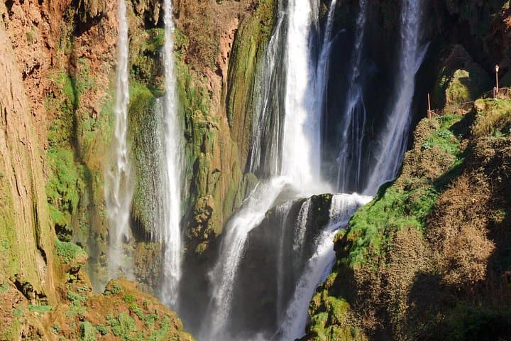 Marrakech to Ouzoud Falls Day Trip — Waterfalls, Barbary Apes & Berber Lunch photo 5