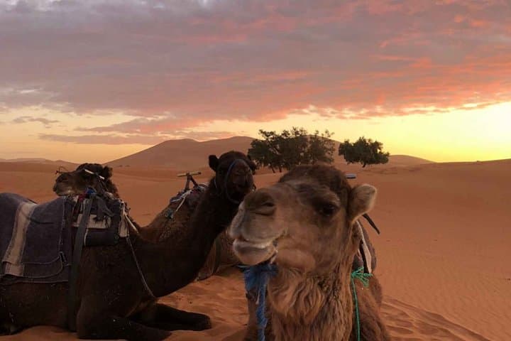 Atlas Mountains and Sahara Desert: 5-Day Trek from Marrakech photo 3