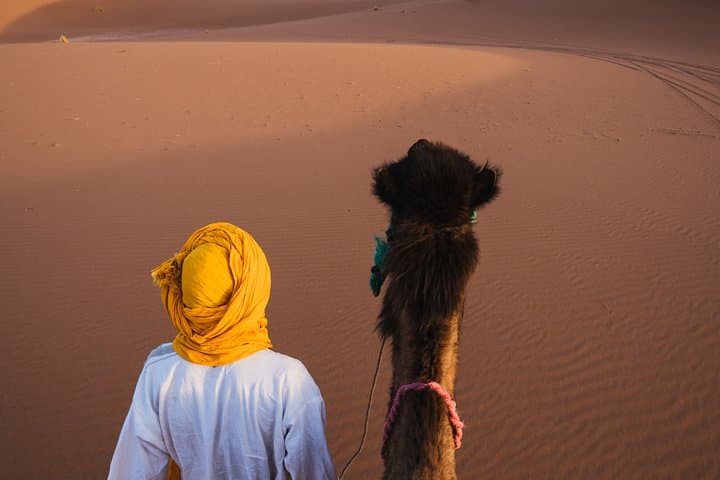 Atlas Mountains and Sahara Desert: 5-Day Trek from Marrakech photo 4