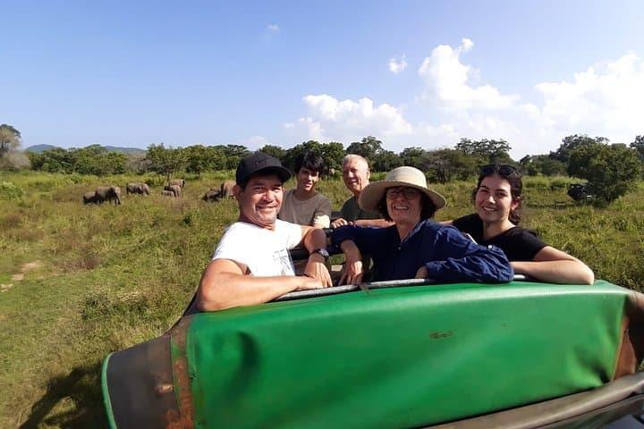 Sigiriya & Kaudulla Jeep Safari: Elephant Encounters and Lion Rock Views photo 2
