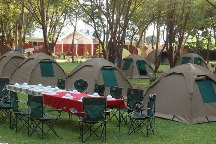 Tarangire & Ngorongoro 2-Day Guided Safari: Camping, Big Five, and Maasai Encounters